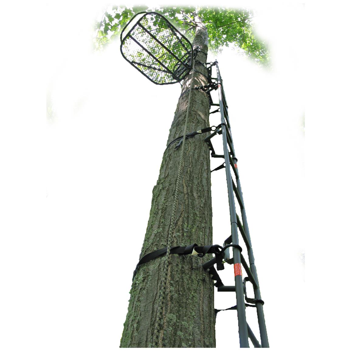 Family Tradition 20' LockOn Tree Stand Ladder 144056, Climbing