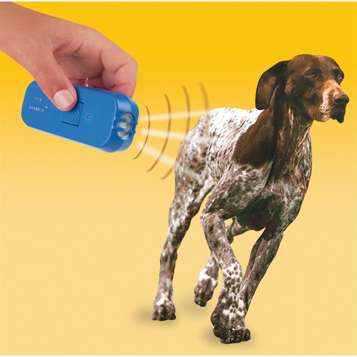 ... Hunting Dog Supplies / Training Equipment / Ultrasonic Pet Trainer