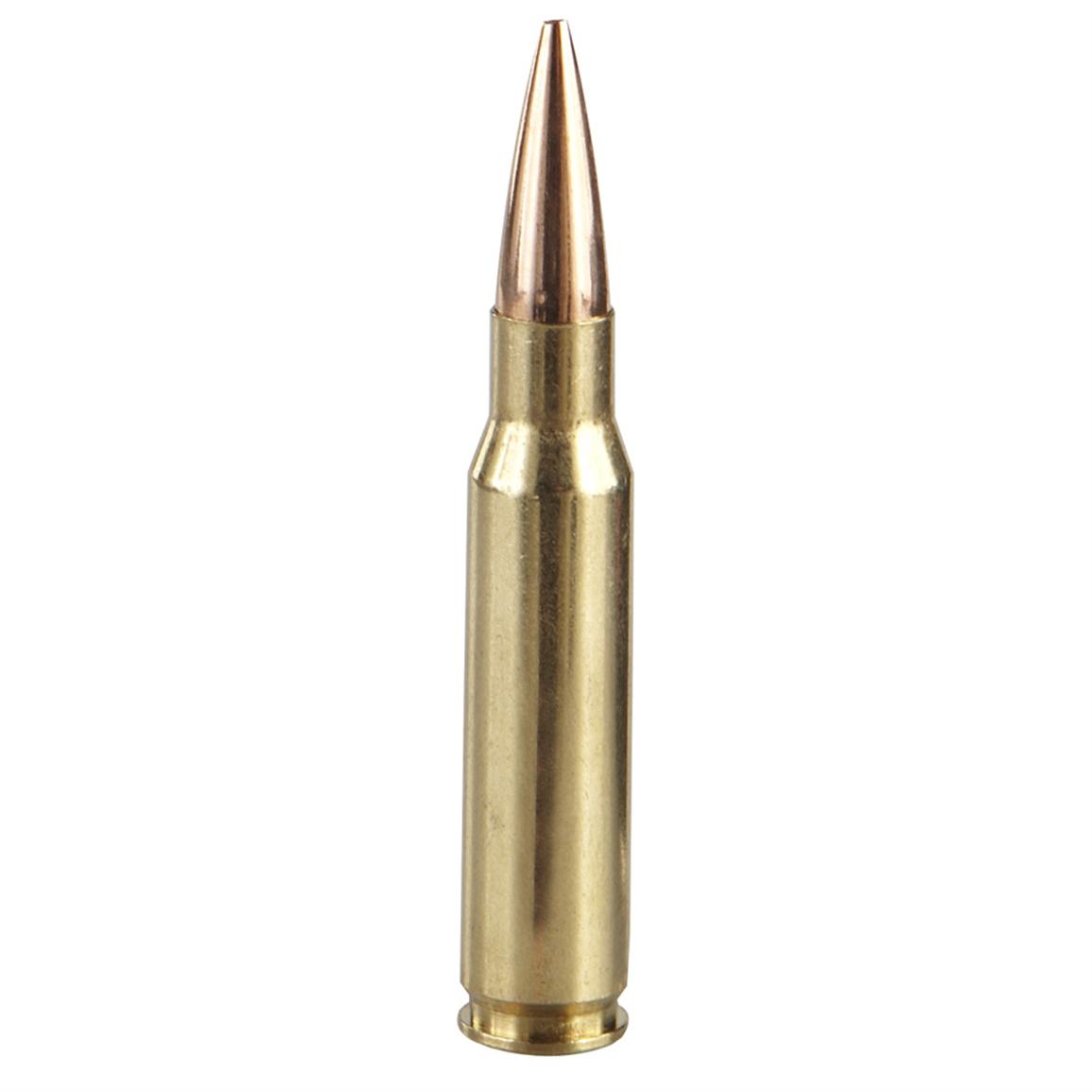 hsm-trophy-gold-300-winchester-magnum-vld-210-grain-20-rounds