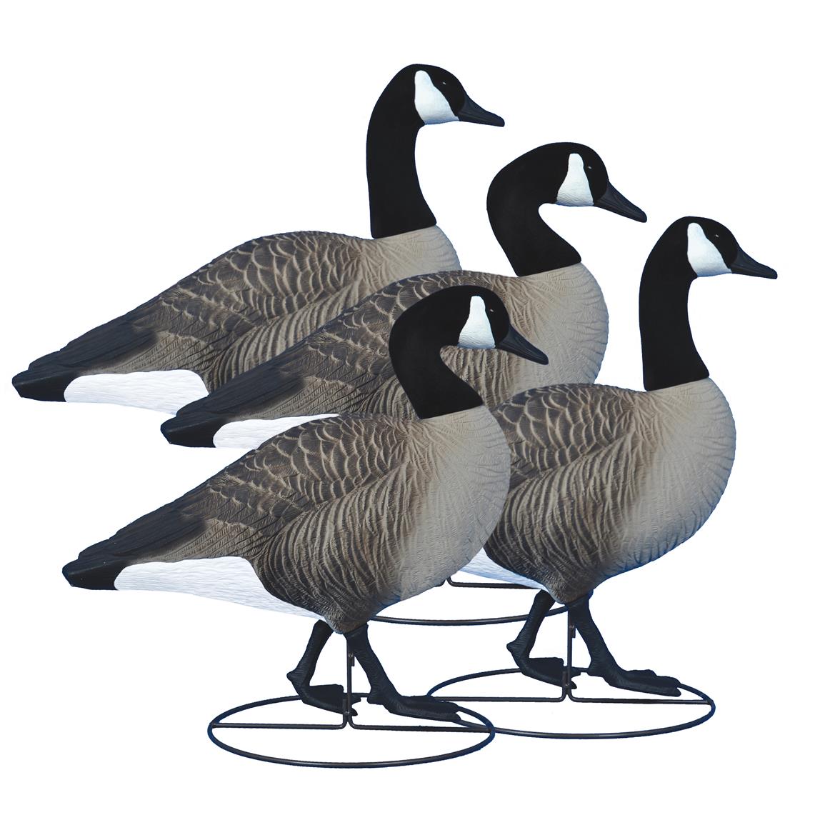 4-Pk. of Higdon® Alpha TruWalker Magnum Full-body Canada Goose Decoys 