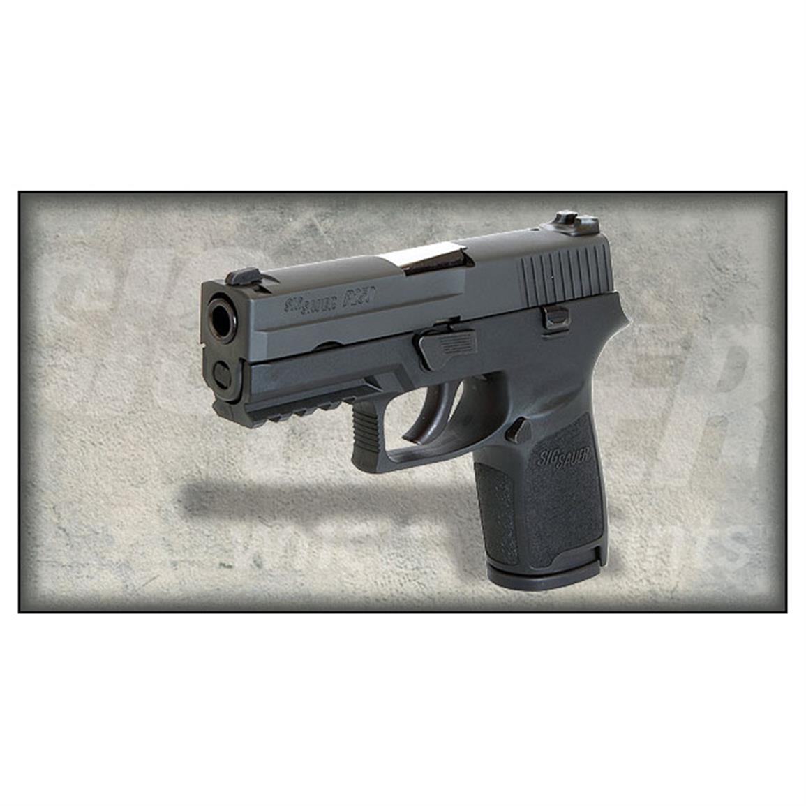 Sig Sauer P250 Full Size Dao Semi Automatic 9mm 17