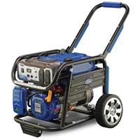 Ford® 4,650 Watt Dual Fuel Generator