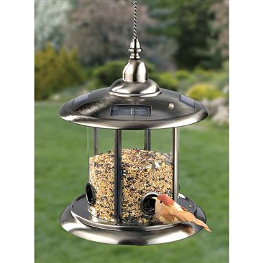 Solar Bird Feeder - 117712, Bird Houses & Feeders At Sportsman's Guide