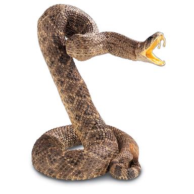 4' Coiled Snake - 1399, Taxidermy at Sportsman's Guide