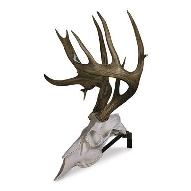 Walnut Hollow Country Deluxe Antler Display Kit With Photo Frame Oak for sale online 