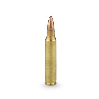 Hornady Zombie Max, .223 Remington, Z-Max Polymer Tip, 55 Grain, 20 ...