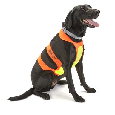 Remington Chest Protector for Dogs - 596684, Collars, Leashes & Leads ...