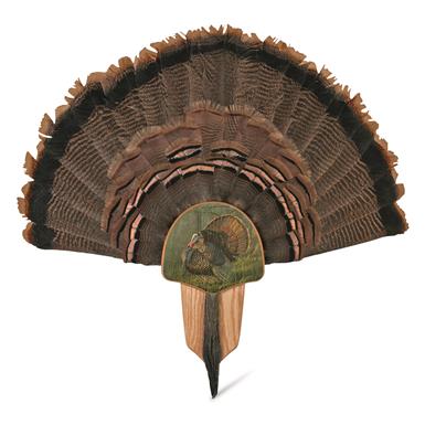 Walnut Hollow Oak King of Spring Turkey Display Kit