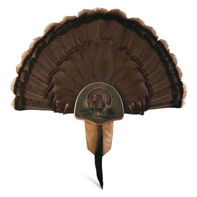 Walnut Hollow Oak Drumsticks Turkey Fan Mount Kit