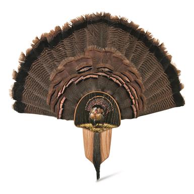 Walnut Hollow Oak Full Fan Turkey Fan Mount Kit
