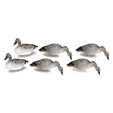 Mayhem Blue Goose/Juvenile Snow Goose Field Decoy, 6 Pack
