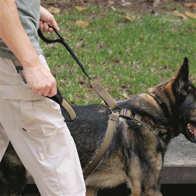 United States Tactical 2-Piece Dog Leash