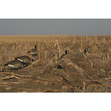 Avery Killerweed Layout Blind Kit