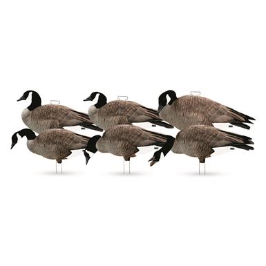 Avery GHG Pro-Grade Flocked Head Canada Goose Silhouette Decoys, 6 Piece Set