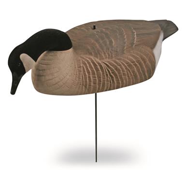 Avery Greenhead Gear Essential Series Honker Shell Canada Goose Decoys, 6 Pack