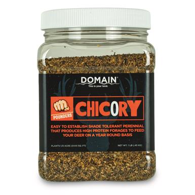 Domain Pounder Chicory Food Plot Seed, 1 lb.