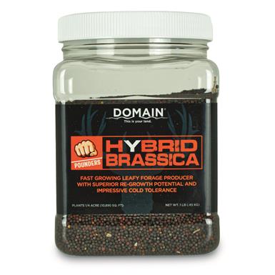 Domain Pounder Hybrid Brassica Food Plot Seed, 1 lb.