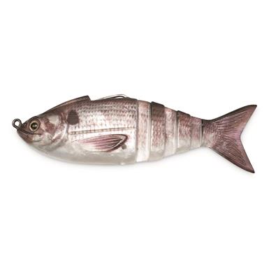 Lunkerhunt Gambit Swimbait Lure