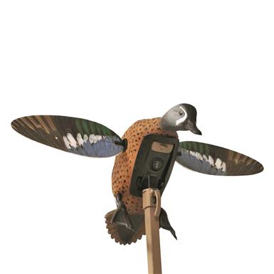 MOJO Elite Series Blue Wing Teal Spinning Wing Decoy, Remote Ready