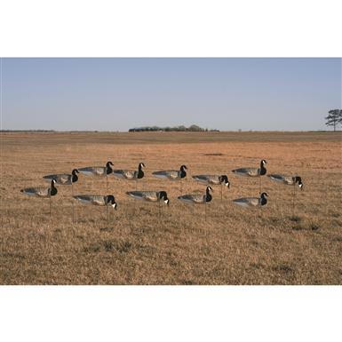 Avery GHG Pro-Grade Canada Goose Tall Sock Decoys, 12 Pieces