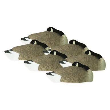 Hardcore Rugged Series Canada Goose Sleeper Shell Decoys with Flocked Heads, 6 Pack