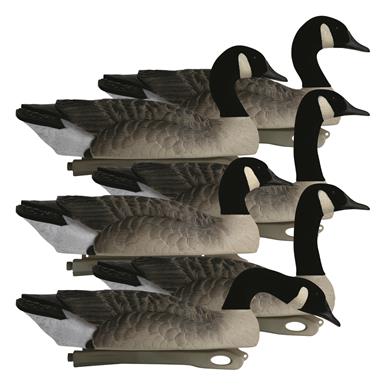 Hardcore Rugged Series Canada Goose Touchdown Floater Decoys with Flocked Heads, 6 Pack