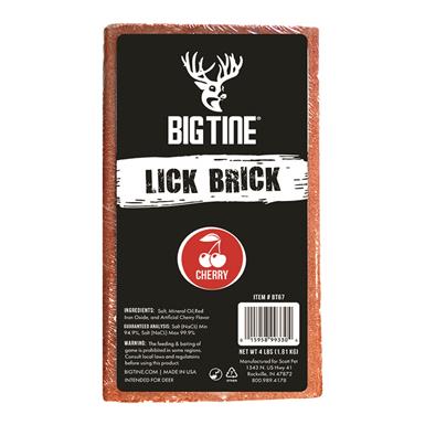 Big Tine Lick Brick