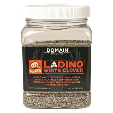 Domain Pounder - Ladino Clover Food Plot Seed
