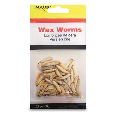 Magic Bait Preserved Wax Worms