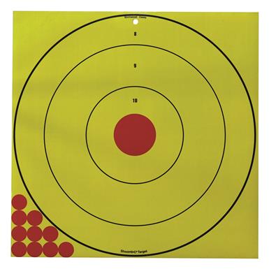 Birchwood Casey Long Range Bullseye Targets, 20 Pack