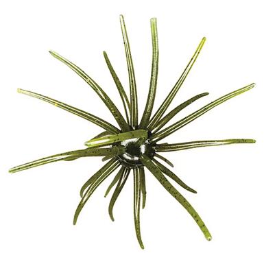 Hag's Prickly Pear 19mm Lure