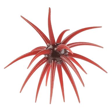 Berkley Powerbait MaxScent 'Moeba
