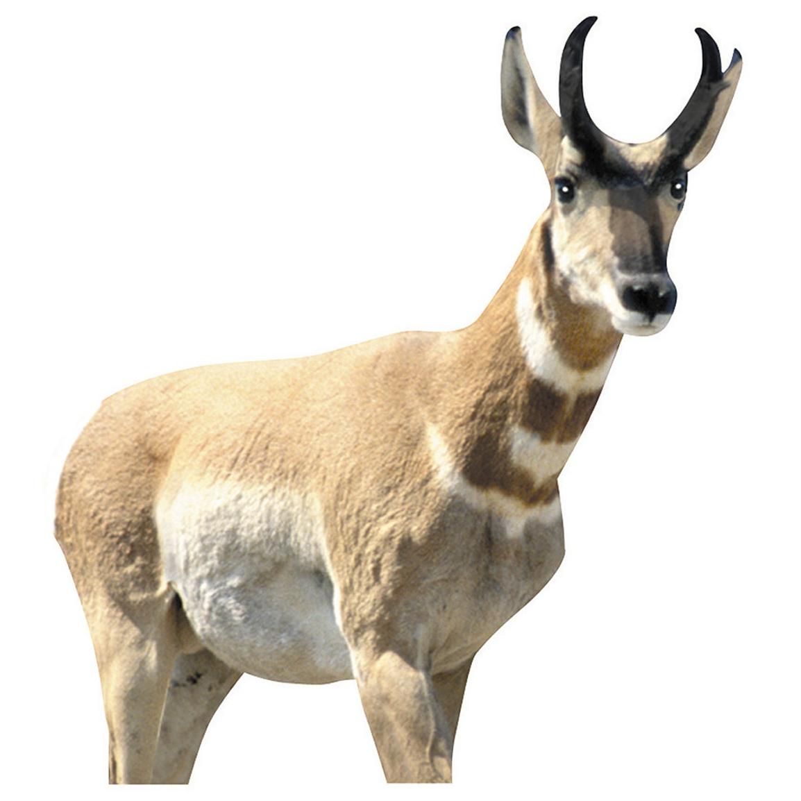 Renzo's Antelope Buck Decoy 110286, Deer & Big Game Decoys at