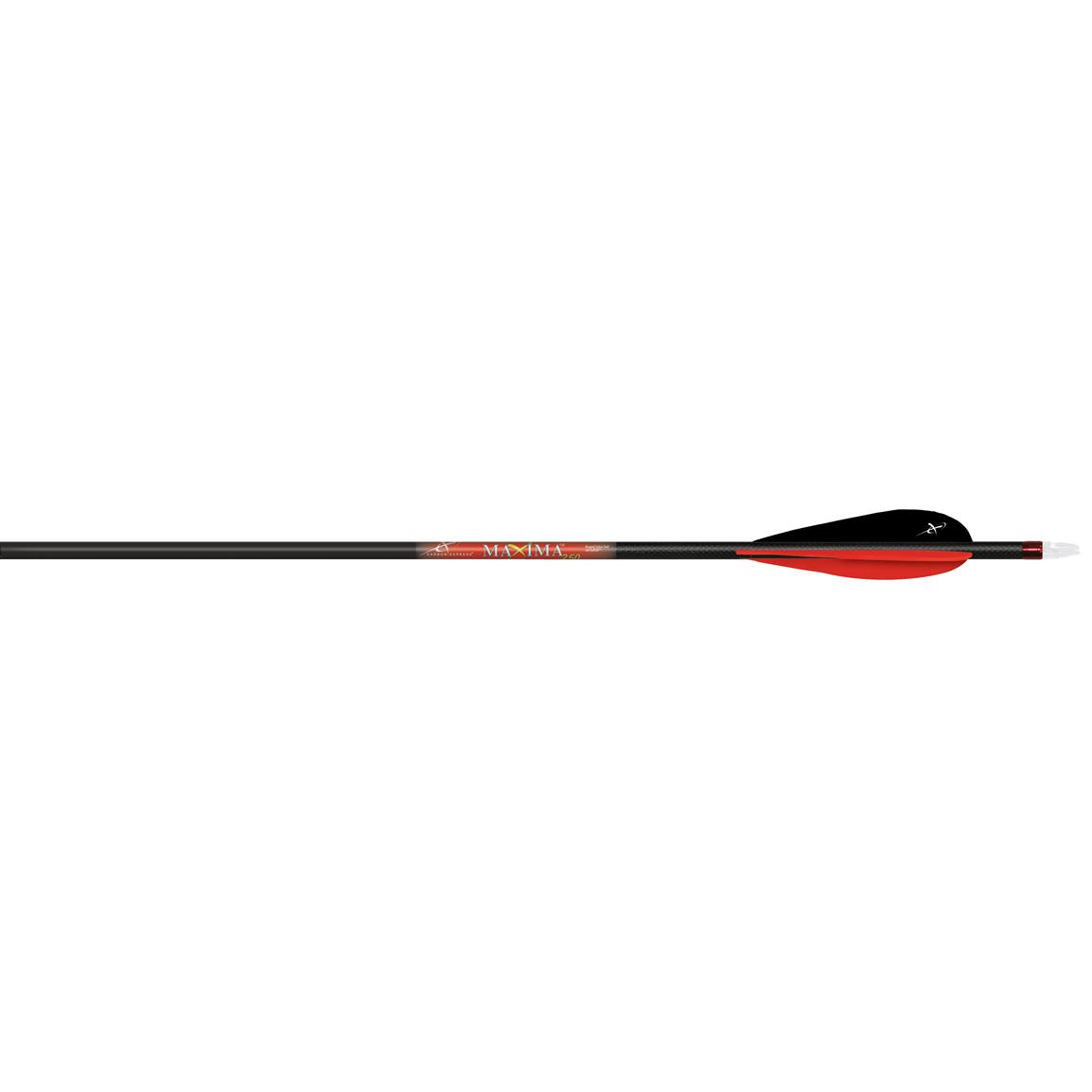 GPP28 Fiberglass Archery Target Arrows - Practice Arrows or Youth Arrows for Recurve Bow Shop Sportsman's Guide for a huge selection of top-quality Hunting Arrows and Shafts! A variety of the latest Archery Arrows, Aluminum Shaft Arrows, Carbon Shaft Arrows, Fiberglass Shaft Arrows, and more! Discover top brands in the industry with leading designs! All of Sportsman's Guide's Archery.