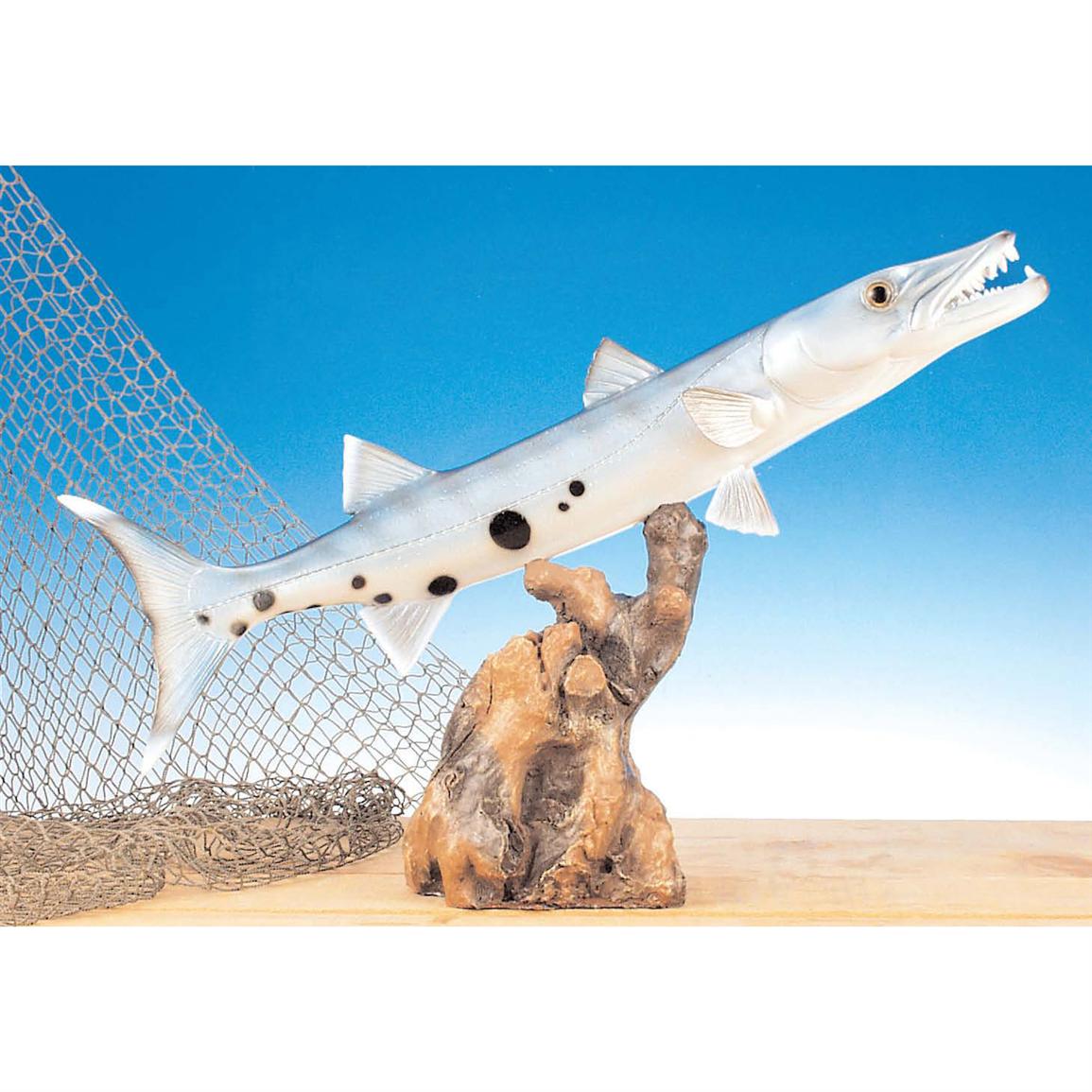 Land & Sea Barracuda Fiberglass Fish Statue 118296, Taxidermy at
