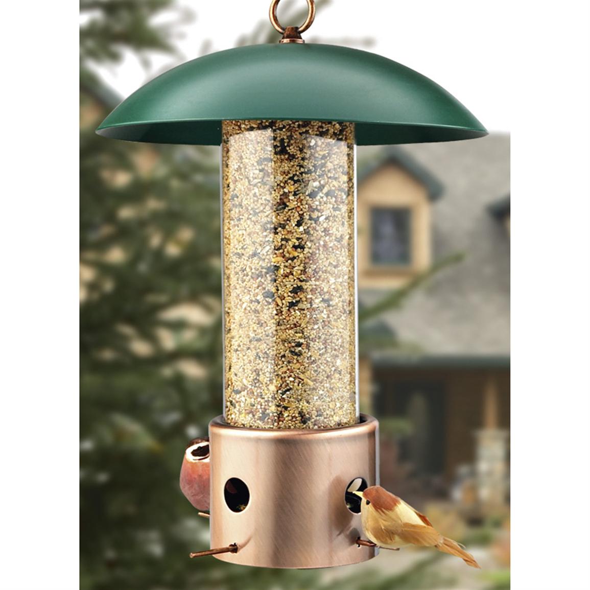 Squirrel Be Gone™ Bird Feeder 139904, Bird Houses & Feeders at