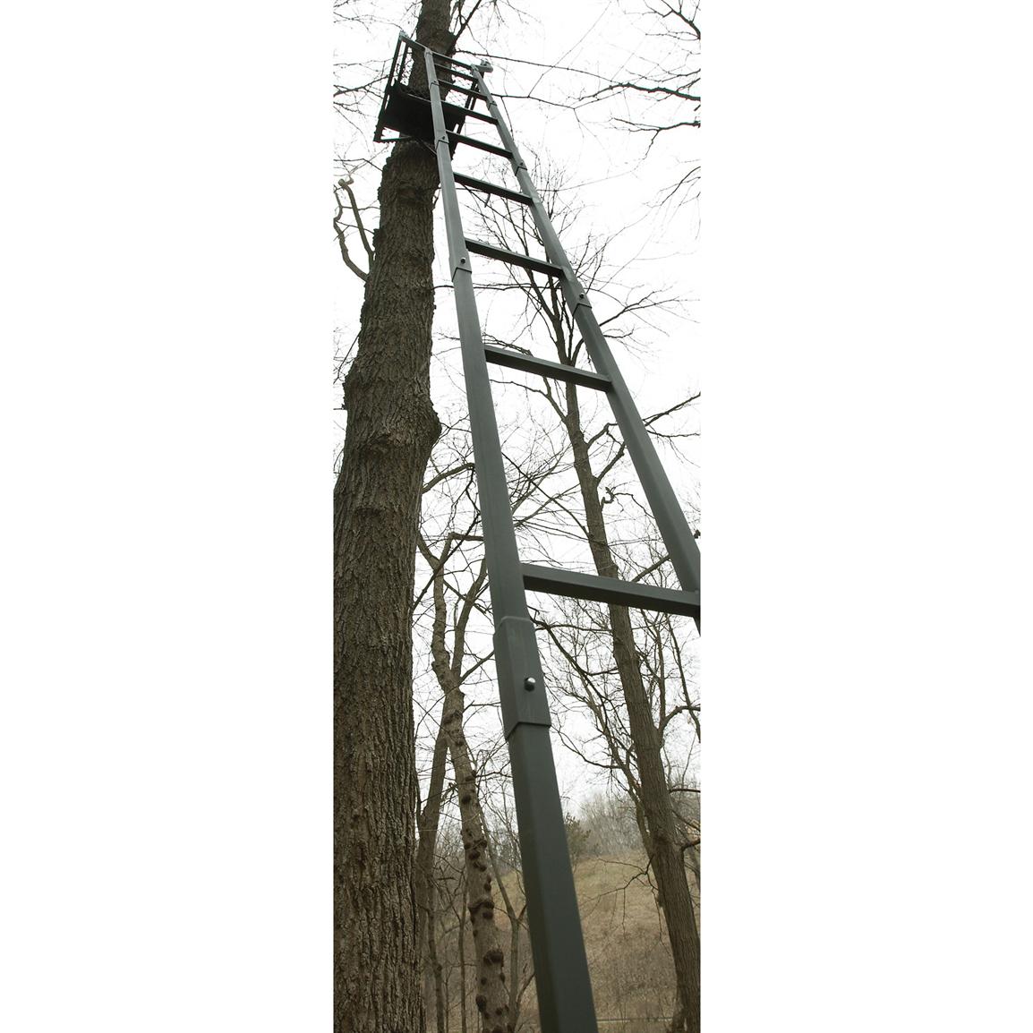 Loggy Bayou® 18' Brush Ladder Stand 136424, Tree Stand Accessories at Sportsman's Guide