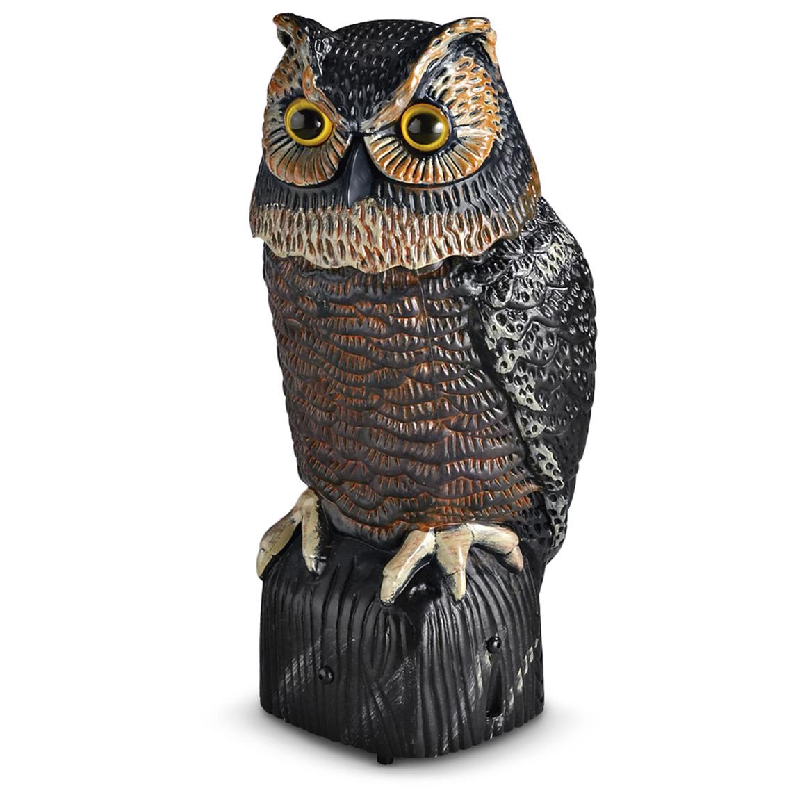 Motion - detector Owl - 137061, Pest Control at Sportsman's Guide