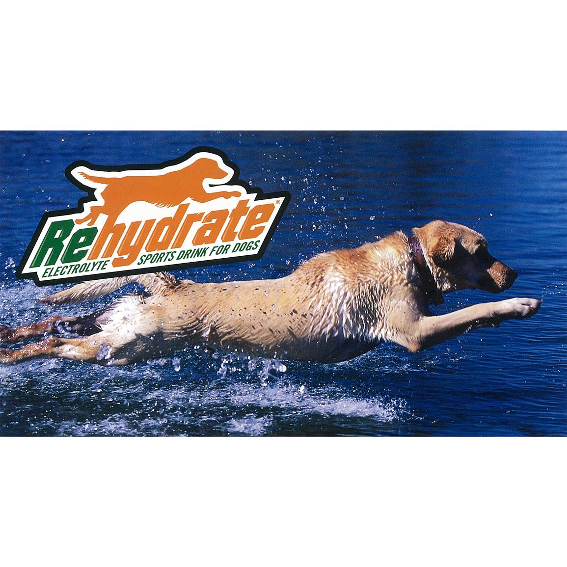 Rehydrate® Electrolyte Sports Drink for Dogs 163586, Pet