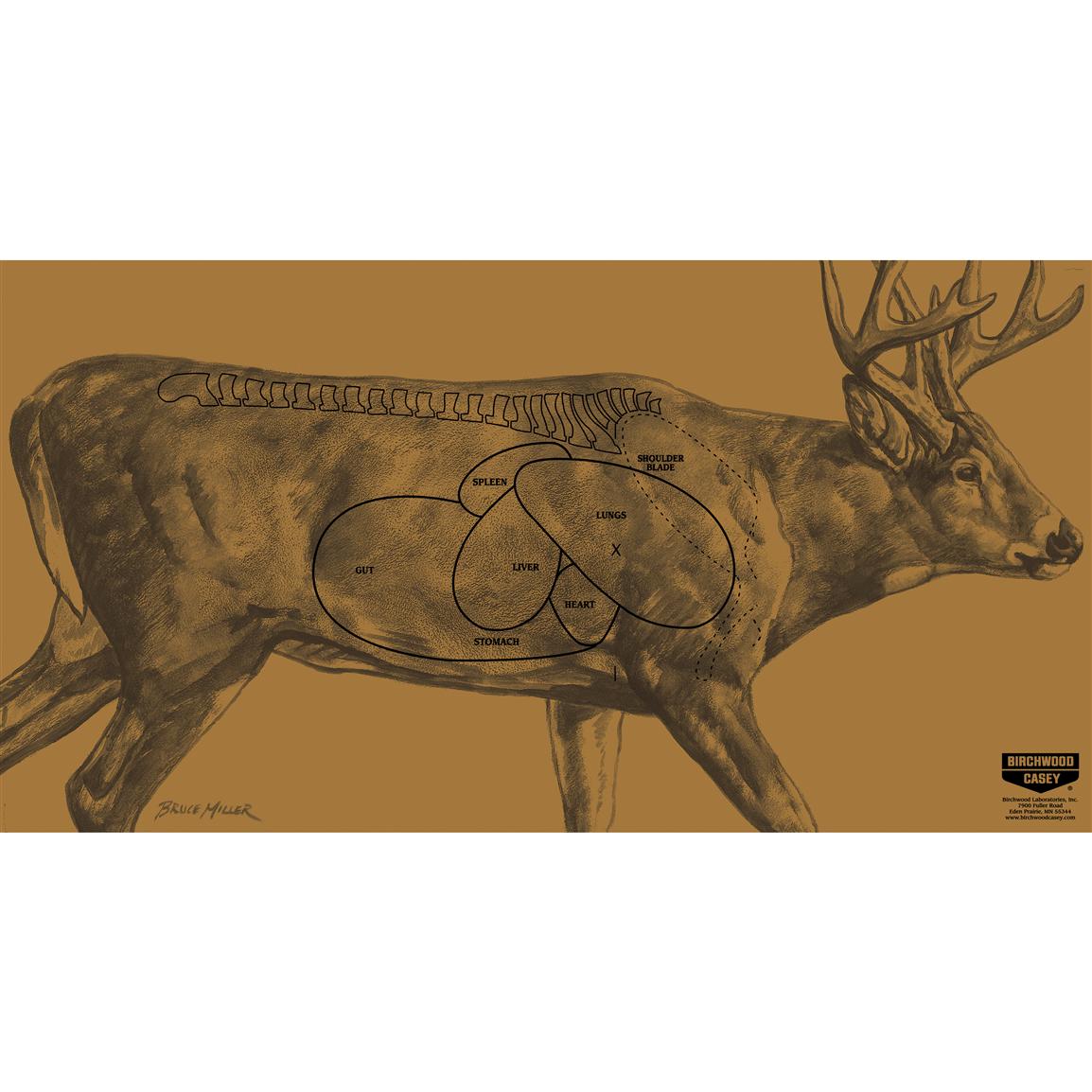 printable-deer-targets-that-are-transformative-derrick-murdochs