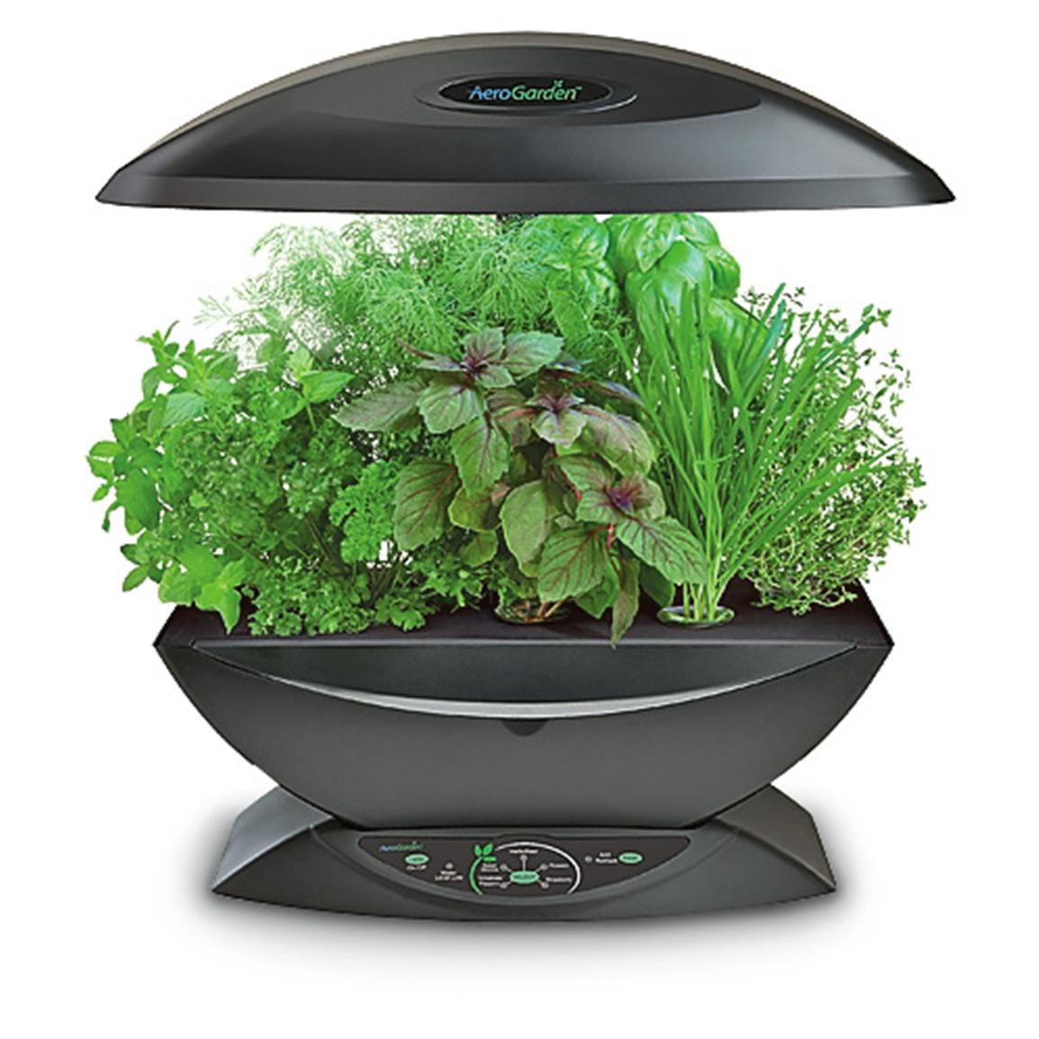 Aerogrow® AeroGarden® - 170096, Kitchen Appliances at Sportsman's Guide