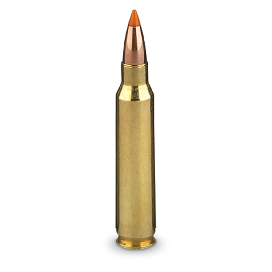 Nosler Trophy Grade Varmint, .223 Remington, 40 Grain, Ballistic Tip ...