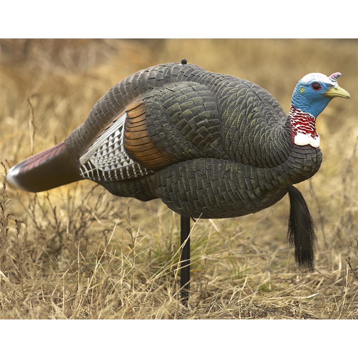 CarryLite® Junior Semi - strutting Jake Decoy - 182292, Turkey Decoys ...