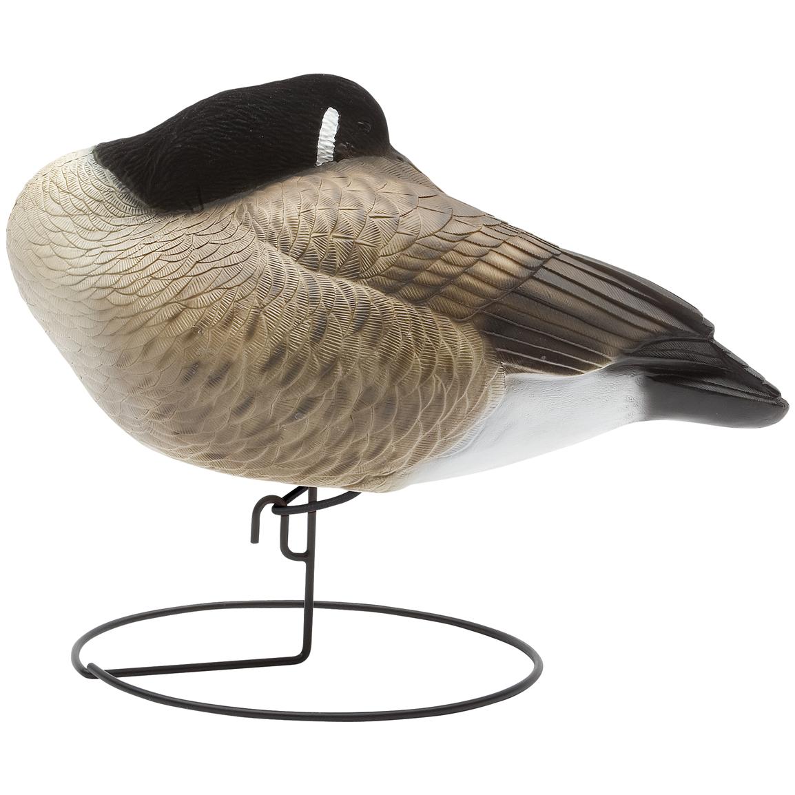6 Pk. Hard Core® Full Body Canada Goose Finish Decoy Set 189610