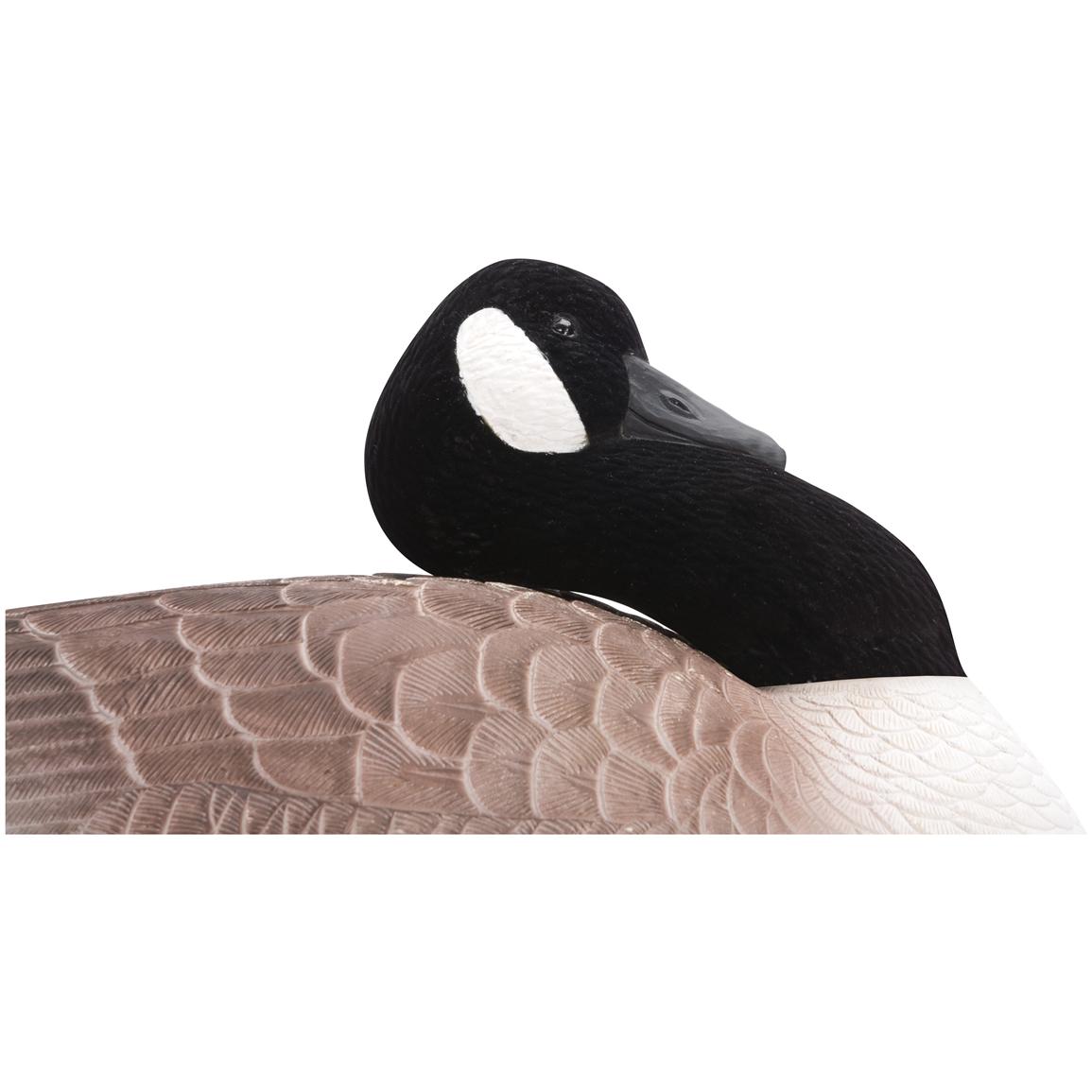 6 Pk. Hard Core® Floating Canada Goose Finish Decoys 189616, Goose