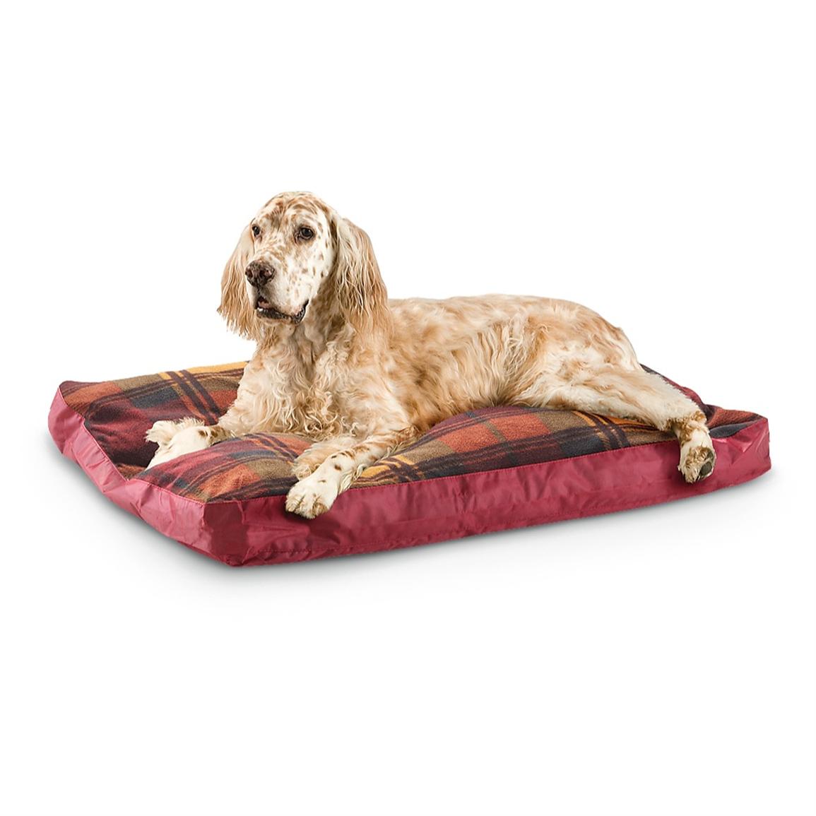 coleman dog bed