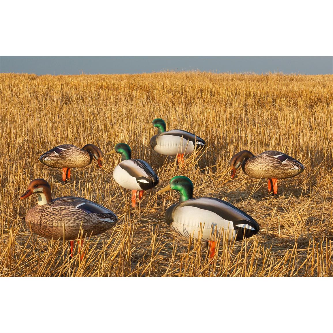 6 - Pk. of Fusion Molded Head Mallard Duck Decoys - 204672, Duck Decoys ...