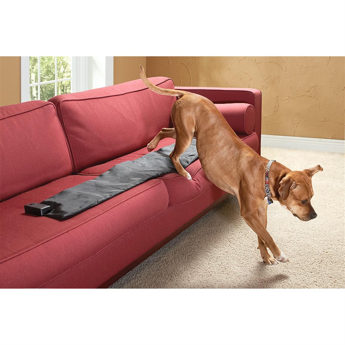 Stay Off Furniture Pet Mat 208785 Training Equipment At