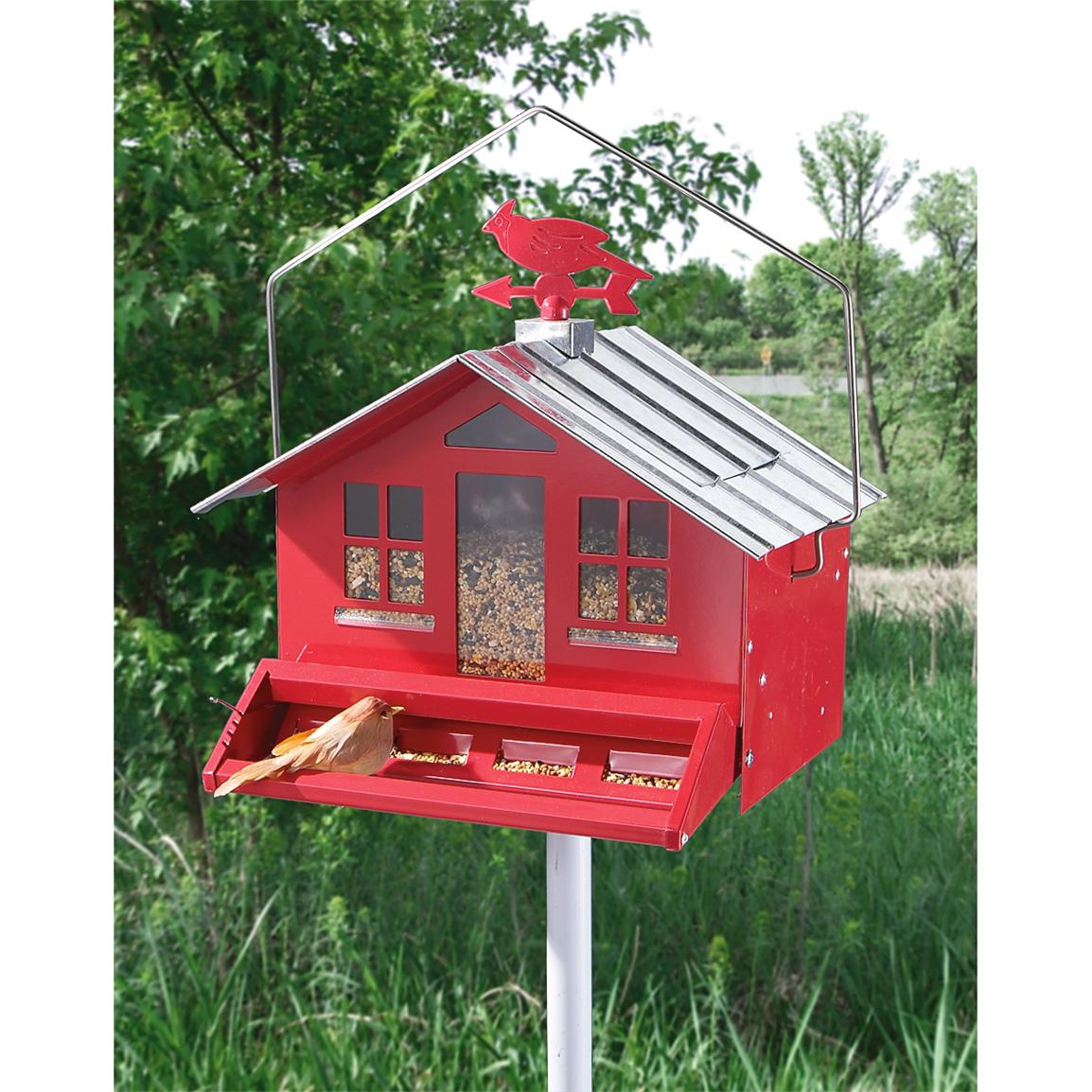 Squirrel-Be-Gone™ Country Feeder - 218108, Patio & Outdoor Decor at ...