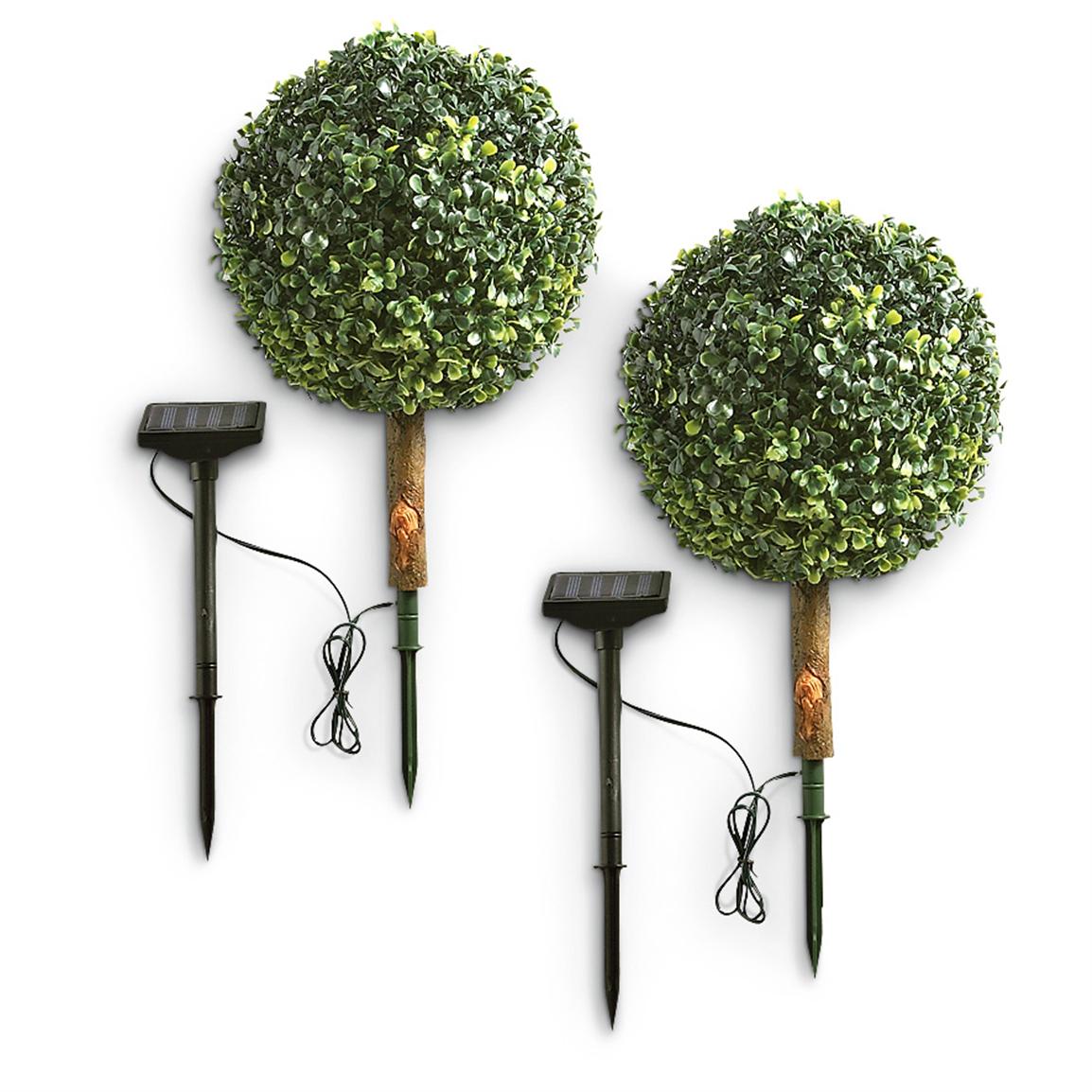 topiary trees with solar lights